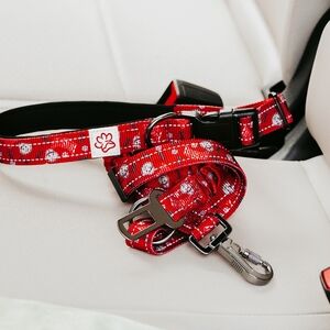 Ohio State Buckeyes 6 In 1 Pet Leash